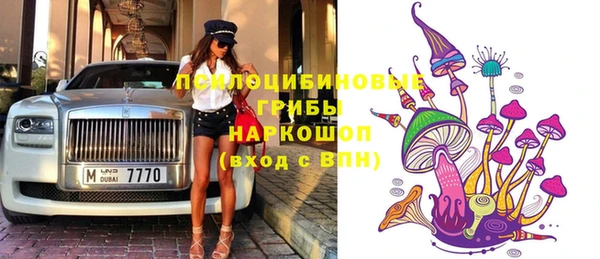 ECSTASY Липки